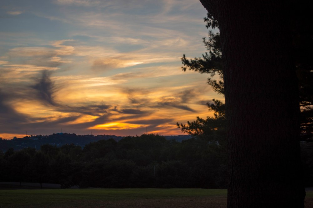 Natue Light - Sunset.jpg