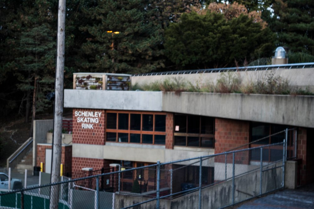 Nature Light - Skating Rink.jpg